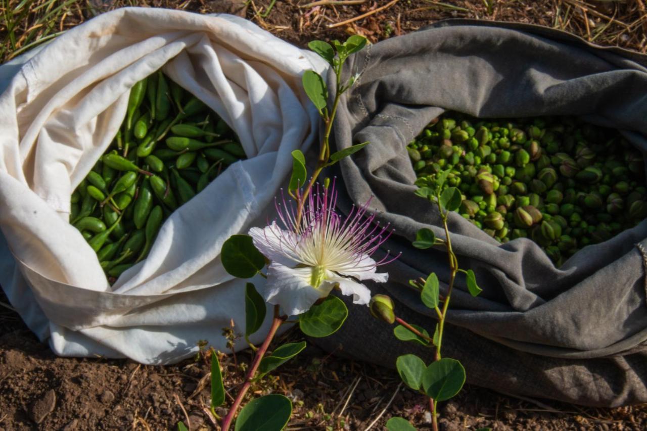 מאלפה Agriturismo Al Cappero מראה חיצוני תמונה