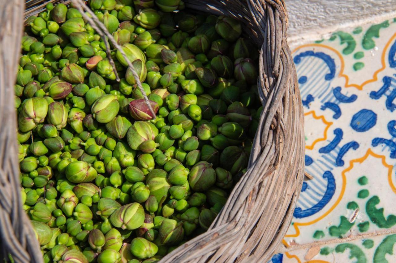 מאלפה Agriturismo Al Cappero מראה חיצוני תמונה